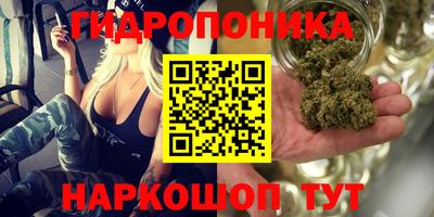 индика Жуковский