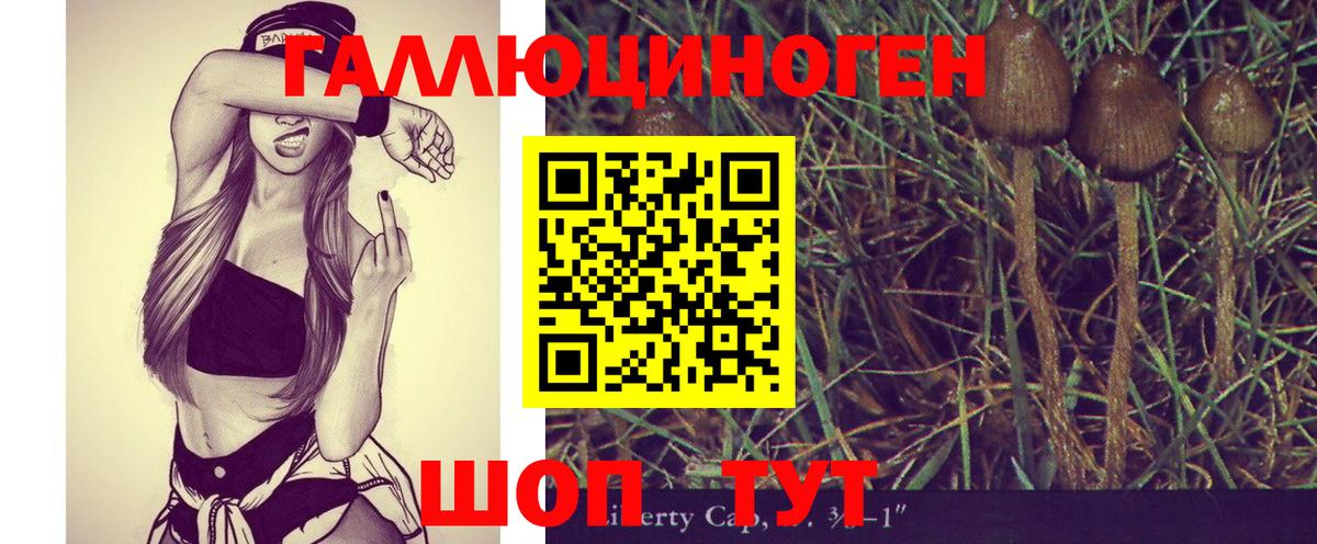 Псилоцибиновые грибы ЛСД Муравленко